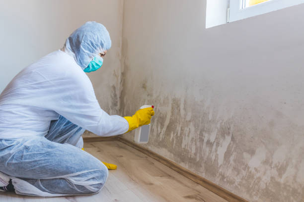 Mold Remediation specialist working in Union City